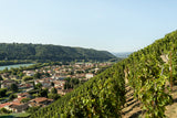 Domaine Gerin Northern Rhône 6-pack