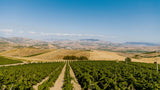 I Filari Sicily 6-Pack