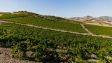 I Filari Sicily 6-Pack