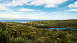 Evoi Margaret River 6-pack