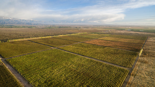 There's nowhere like it