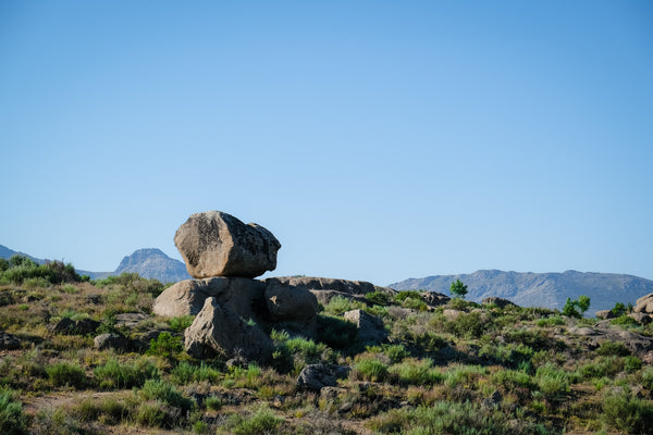 Cebreros: could this be Spain’s next big thing?