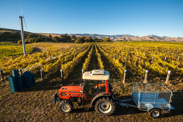 Fortune favours the brave