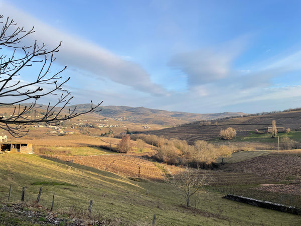 Hitting the ground running...