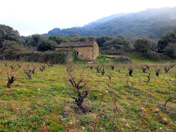 The one that almost got away