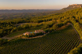 Just Landed Provence Rosé 6-pack