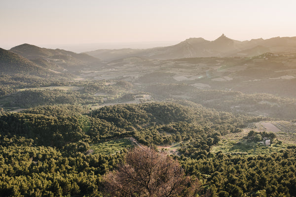 Annual WineSpark Membership gift