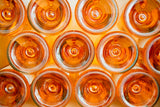 Just Landed Provence Rosé 6-pack